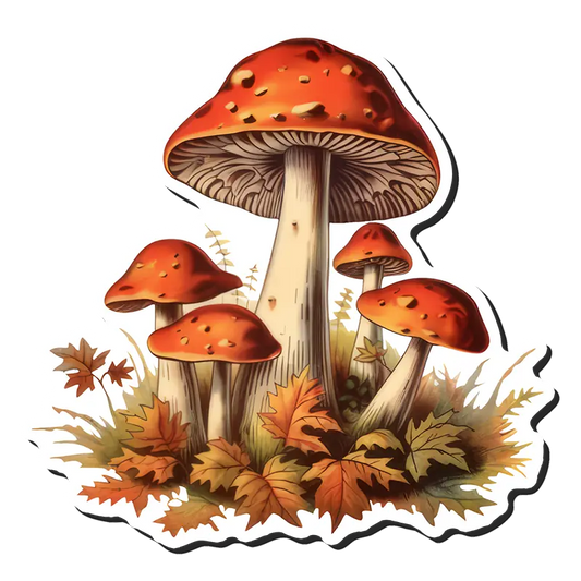 Autumn Mushrooms