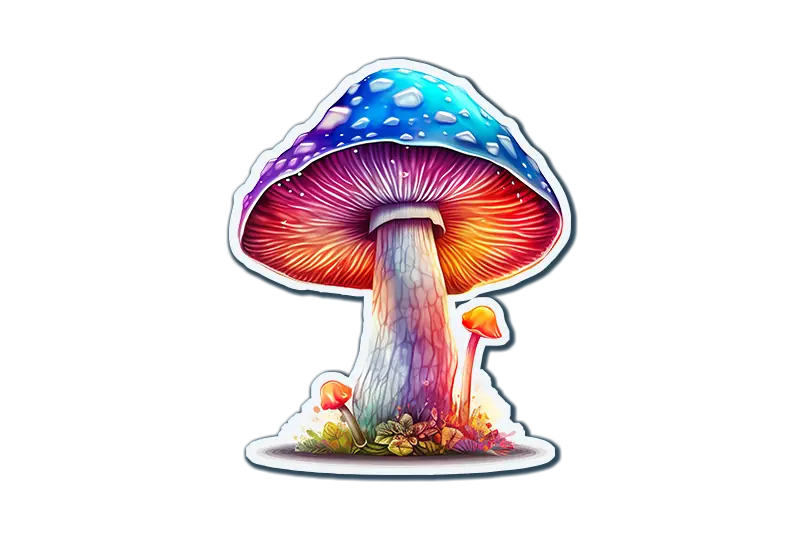 Rainbow Mushroom