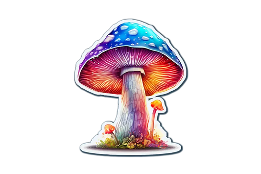 Rainbow Mushroom