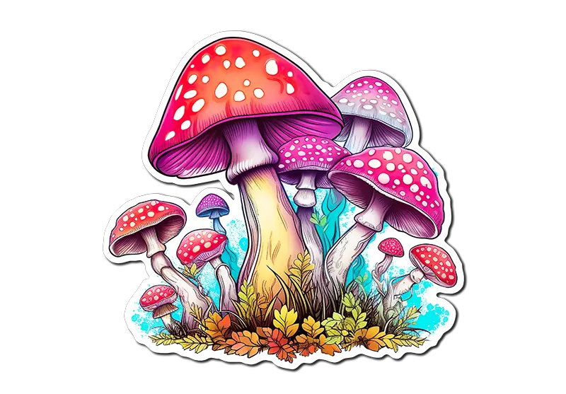 Vibrant Mushrooms