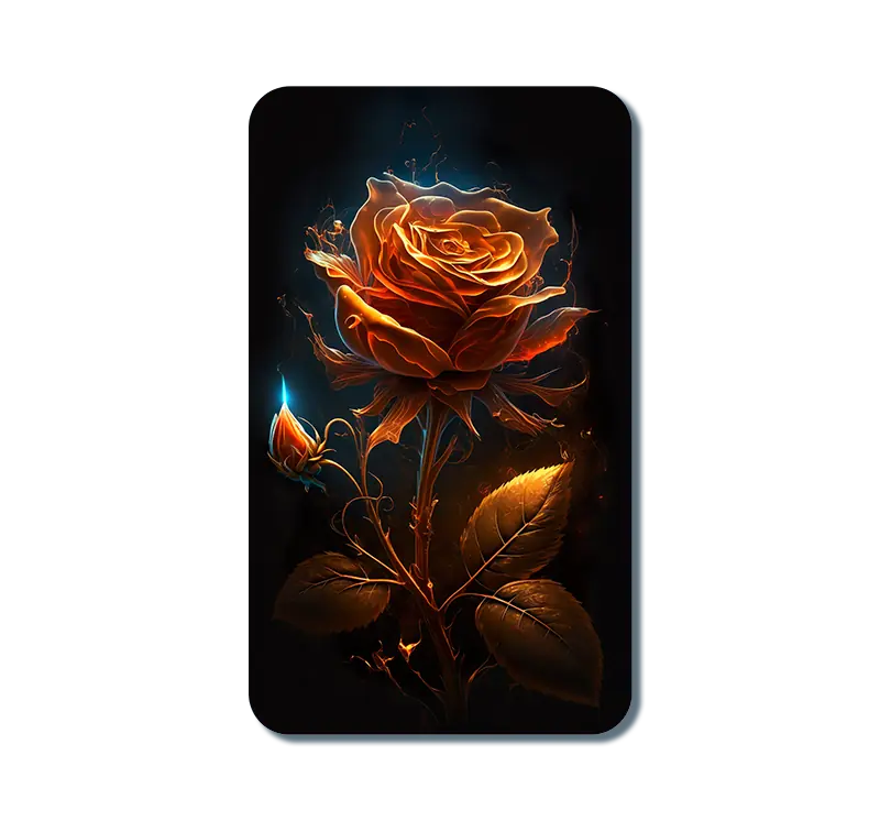 Magical Orange Rose