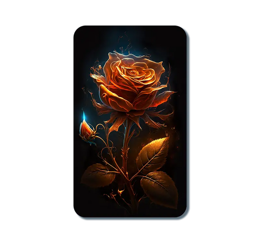 Magical Orange Rose