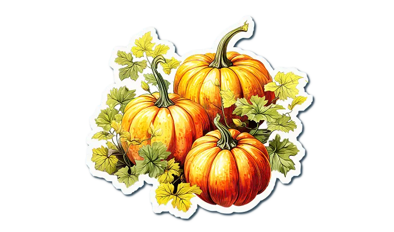 Autumn Pumpkins