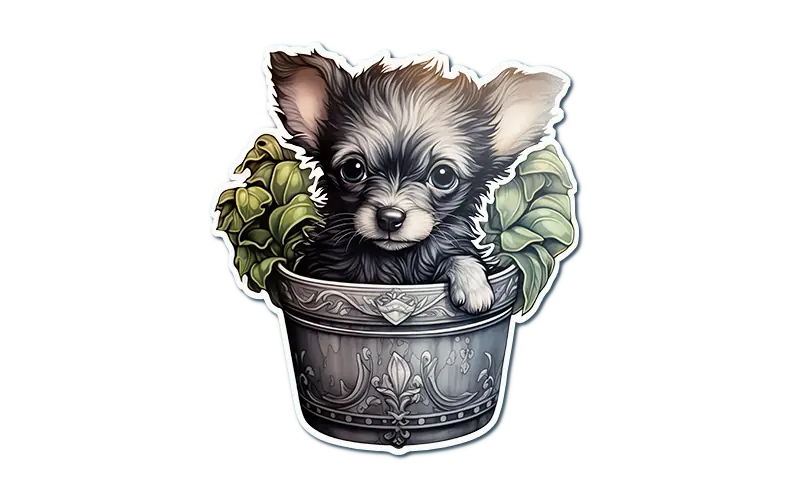 Puppy in a Pot