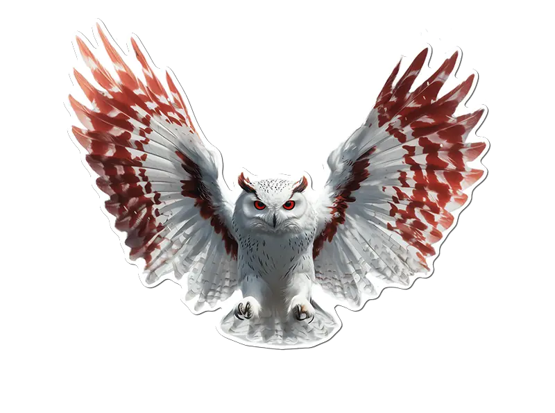 White & Red Owl