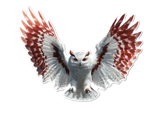 White & Red Owl